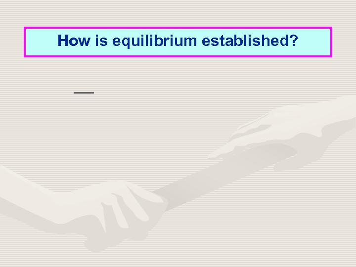 How is equilibrium established? 