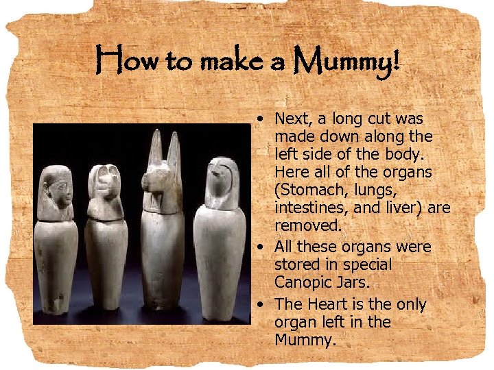 How to make a Mummy! • Next, a long cut was made down along