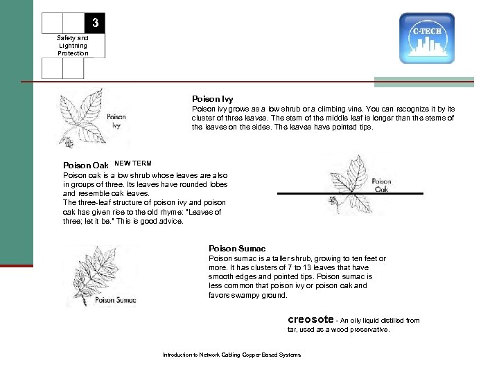 3 Safety and Lightning Protection Poison Ivy Poison ivy grows as a low shrub