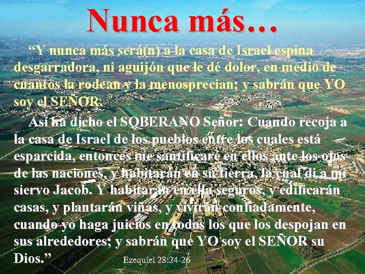 Nunca más… “Y nunca más será(n) a la casa de Israel espina desgarradora, ni