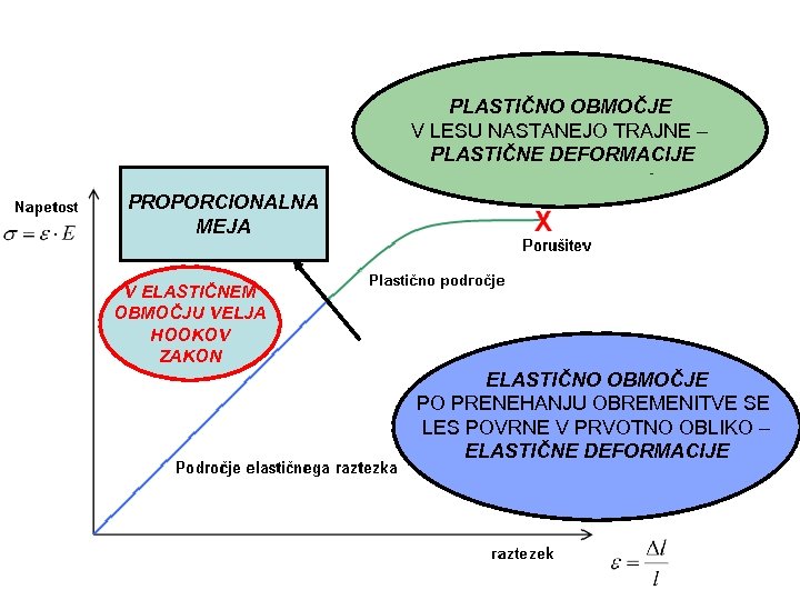 PLASTIČNO OBMOČJE V LESU NASTANEJO TRAJNE – PLASTIČNE DEFORMACIJE PROPORCIONALNA MEJA V ELASTIČNEM OBMOČJU