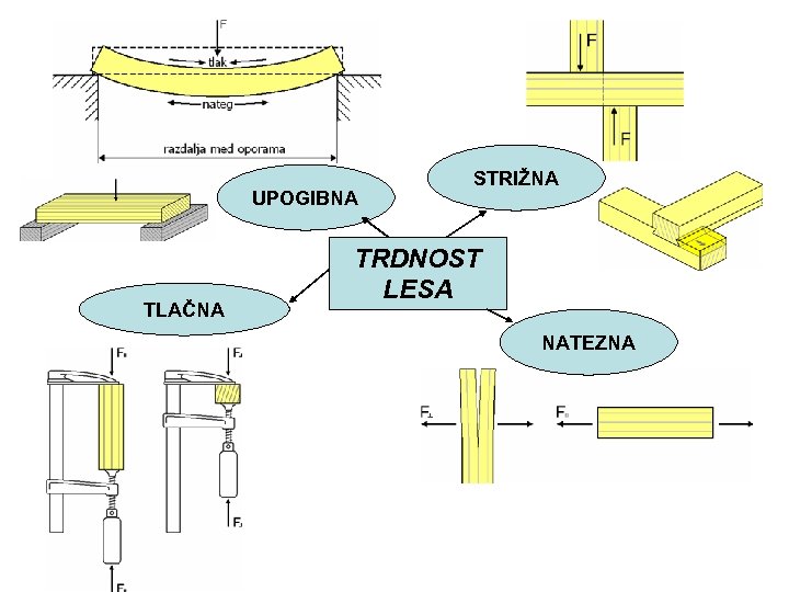 UPOGIBNA TLAČNA STRIŽNA TRDNOST LESA NATEZNA 