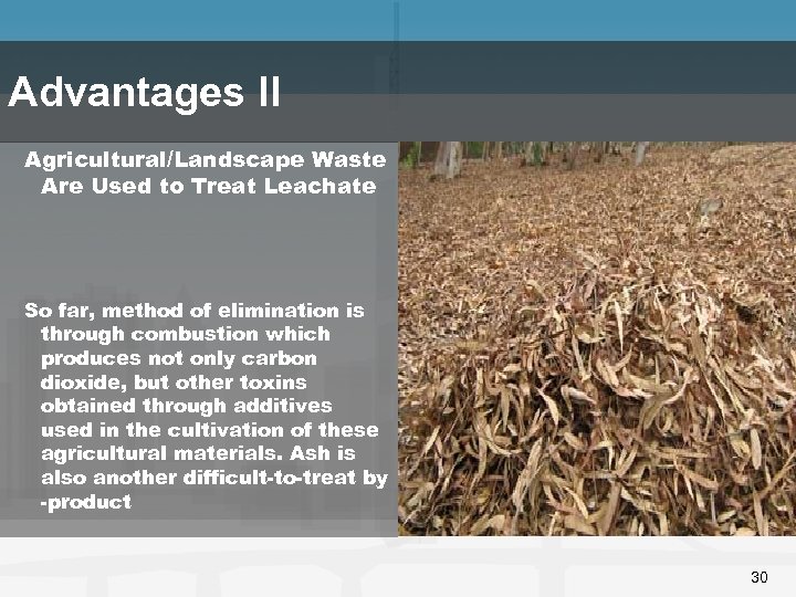 Advantages II Agricultural/Landscape Waste Are Used to Treat Leachate So far, method of elimination