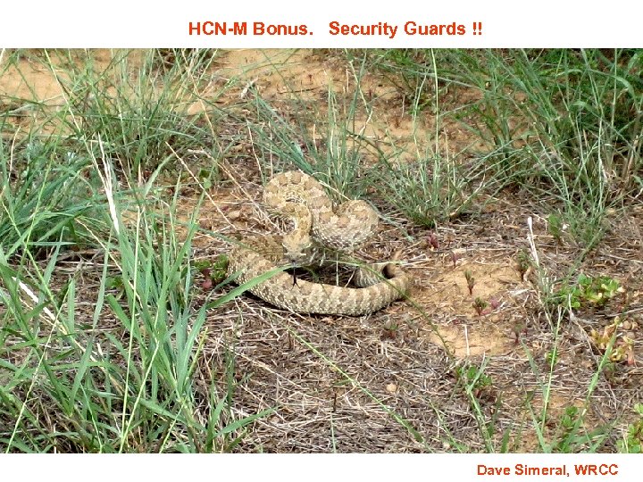 HCN-M Bonus. Security Guards !! Dave Simeral, WRCC 
