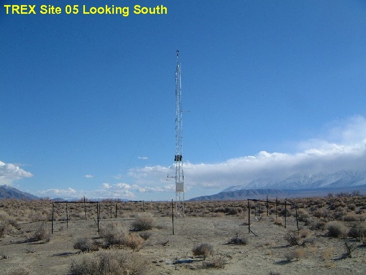 TREX Site 05 Looking South 
