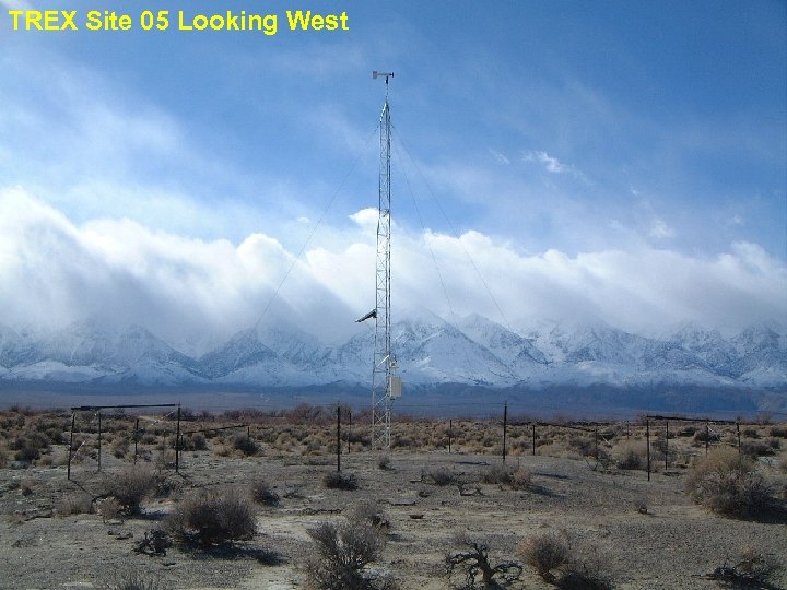 TREX Site 05 Looking West 
