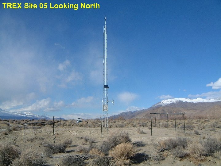 TREX Site 05 Looking North 