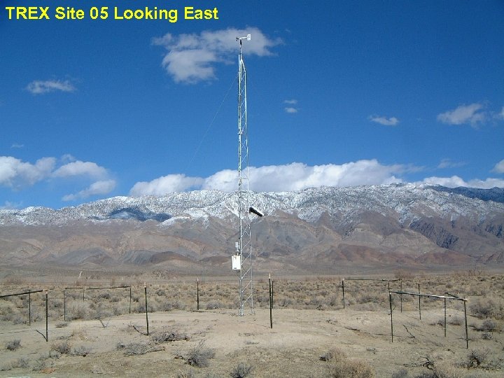 TREX Site 05 Looking East 