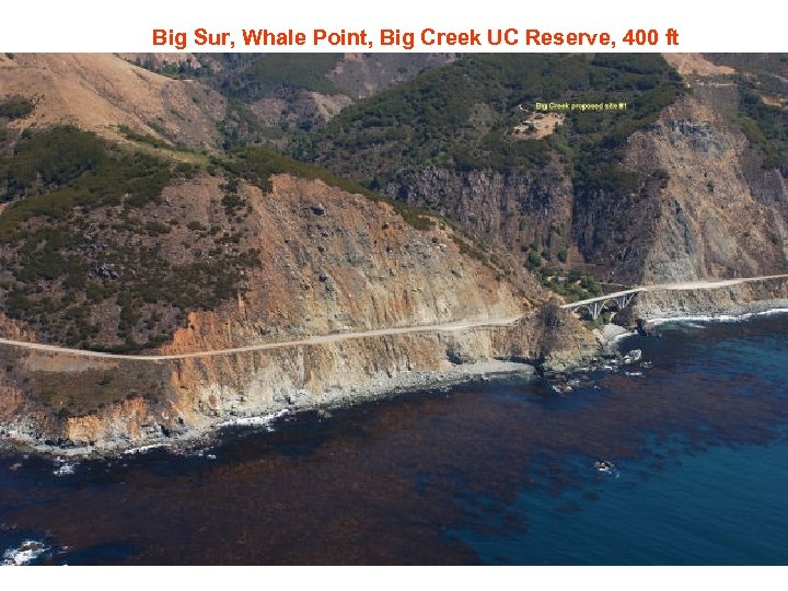Big Sur, Whale Point, Big Creek UC Reserve, 400 ft 