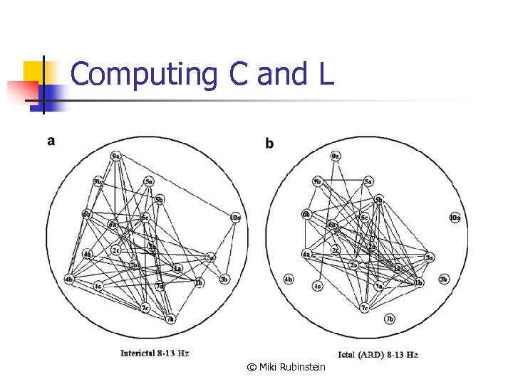 Computing C and L © Miki Rubinstein 