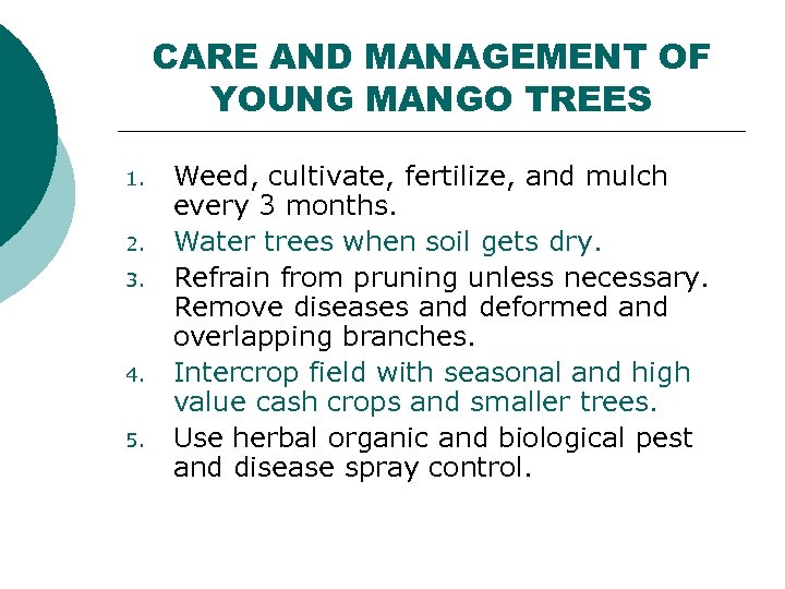 CARE AND MANAGEMENT OF YOUNG MANGO TREES 1. 2. 3. 4. 5. Weed, cultivate,