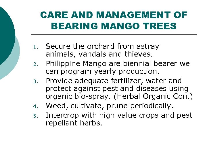 CARE AND MANAGEMENT OF BEARING MANGO TREES 1. 2. 3. 4. 5. Secure the