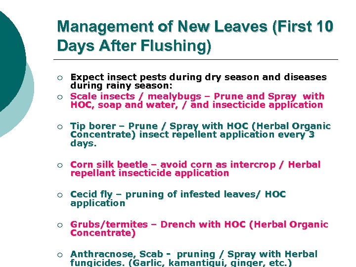 Management of New Leaves (First 10 Days After Flushing) ¡ ¡ Expect insect pests