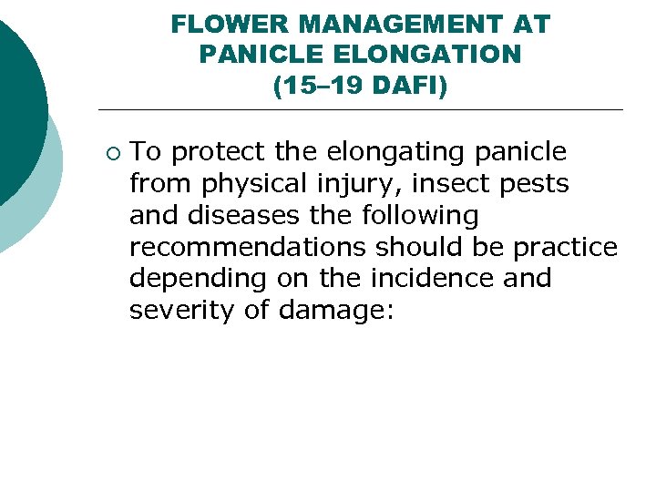 FLOWER MANAGEMENT AT PANICLE ELONGATION (15– 19 DAFI) ¡ To protect the elongating panicle