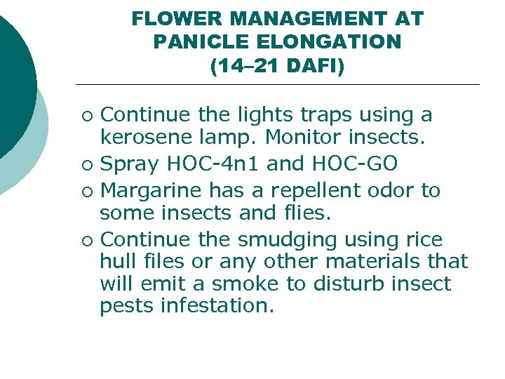 FLOWER MANAGEMENT AT PANICLE ELONGATION (14– 21 DAFI) Continue the lights traps using a