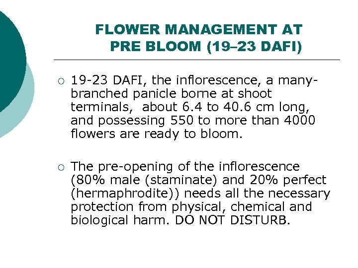 FLOWER MANAGEMENT AT PRE BLOOM (19– 23 DAFI) ¡ 19 -23 DAFI, the inflorescence,