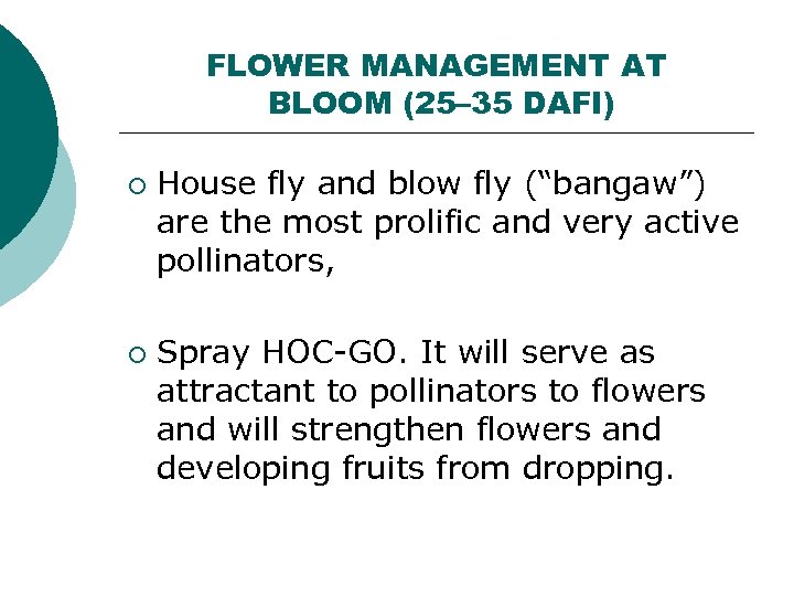 FLOWER MANAGEMENT AT BLOOM (25– 35 DAFI) ¡ ¡ House fly and blow fly