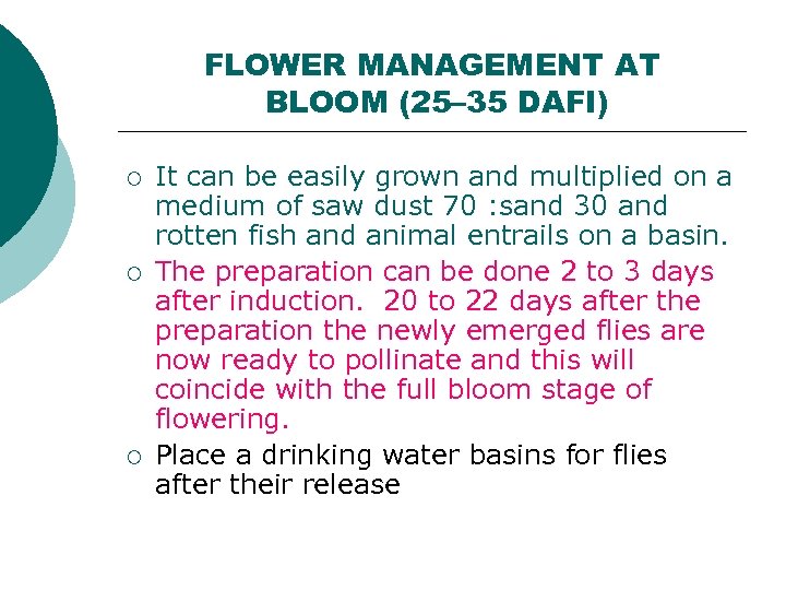 FLOWER MANAGEMENT AT BLOOM (25– 35 DAFI) ¡ ¡ ¡ It can be easily