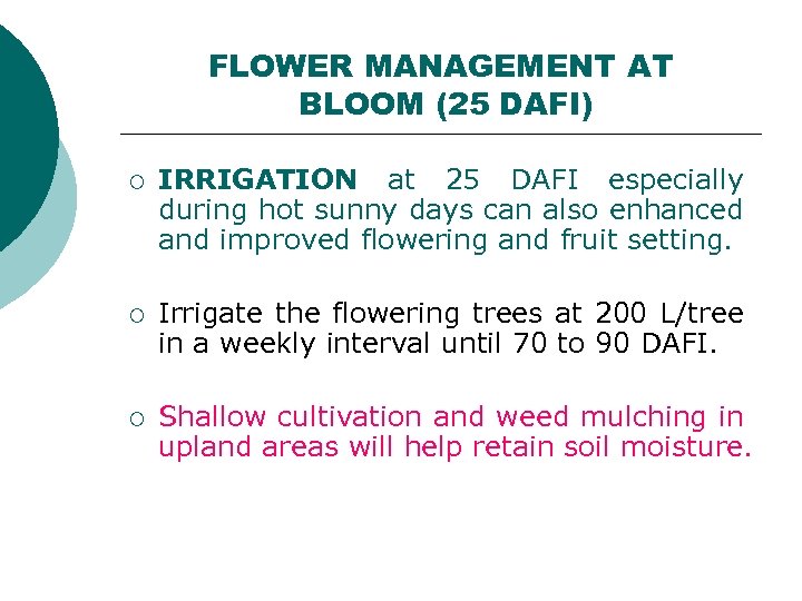 FLOWER MANAGEMENT AT BLOOM (25 DAFI) ¡ IRRIGATION at 25 DAFI especially during hot