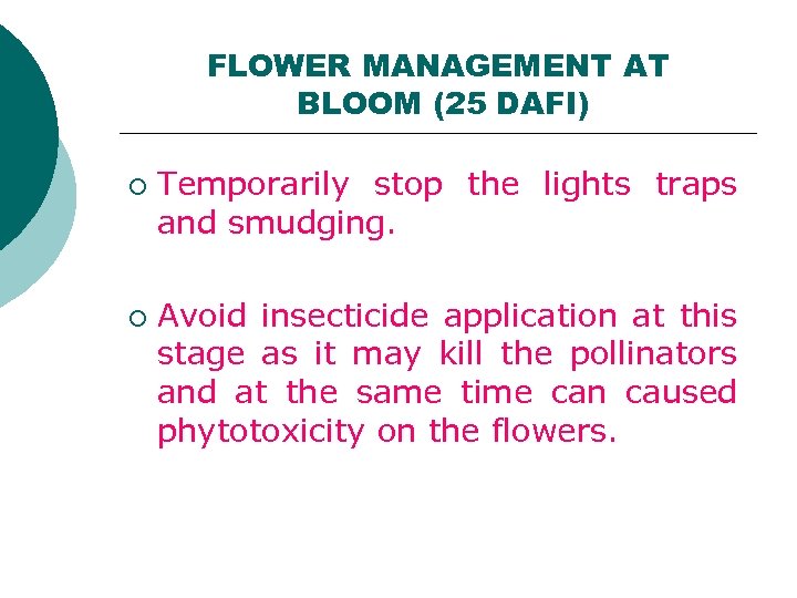 FLOWER MANAGEMENT AT BLOOM (25 DAFI) ¡ ¡ Temporarily stop the lights traps and