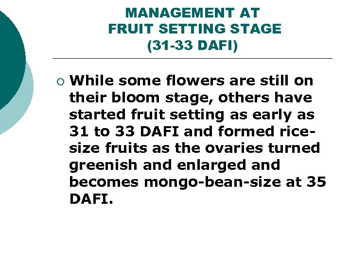 MANAGEMENT AT FRUIT SETTING STAGE (31 -33 DAFI) ¡ While some flowers are still