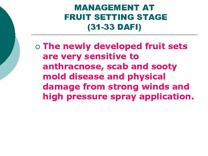 MANAGEMENT AT FRUIT SETTING STAGE (31 -33 DAFI) ¡ The newly developed fruit sets