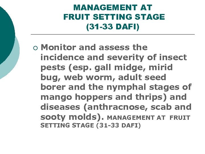 MANAGEMENT AT FRUIT SETTING STAGE (31 -33 DAFI) ¡ Monitor and assess the incidence