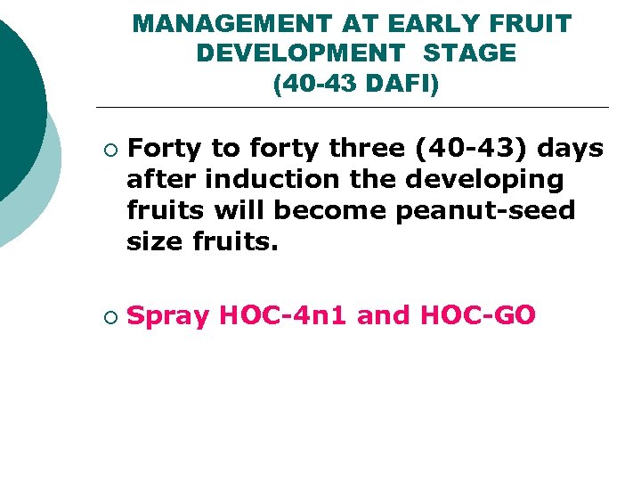 MANAGEMENT AT EARLY FRUIT DEVELOPMENT STAGE (40 -43 DAFI) ¡ ¡ Forty to forty