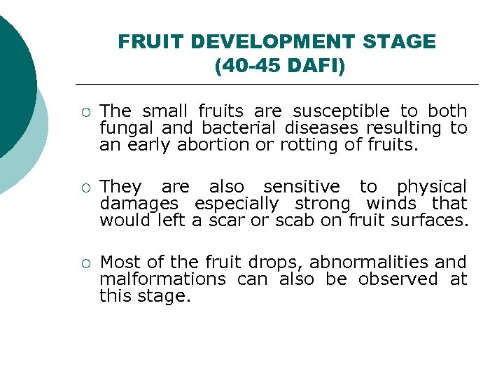 FRUIT DEVELOPMENT STAGE (40 -45 DAFI) ¡ The small fruits are susceptible to both