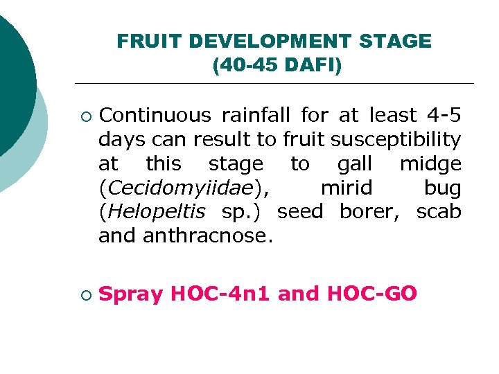 FRUIT DEVELOPMENT STAGE (40 -45 DAFI) ¡ ¡ Continuous rainfall for at least 4
