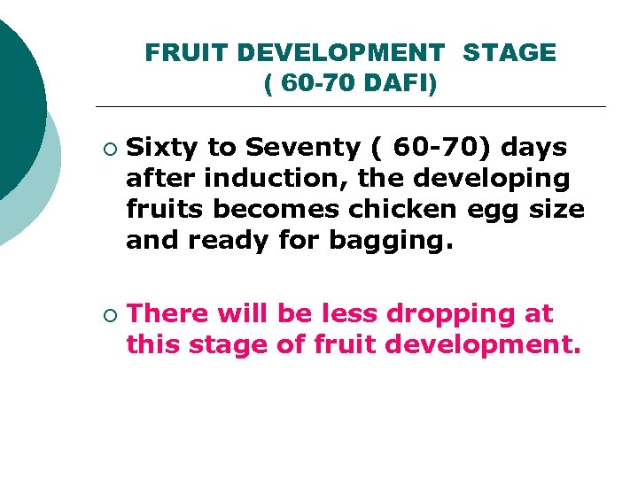 FRUIT DEVELOPMENT STAGE ( 60 -70 DAFI) ¡ ¡ Sixty to Seventy ( 60