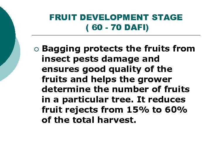 FRUIT DEVELOPMENT STAGE ( 60 - 70 DAFI) ¡ Bagging protects the fruits from