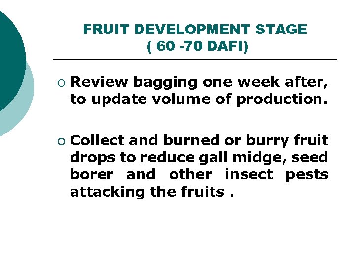 FRUIT DEVELOPMENT STAGE ( 60 -70 DAFI) ¡ ¡ Review bagging one week after,