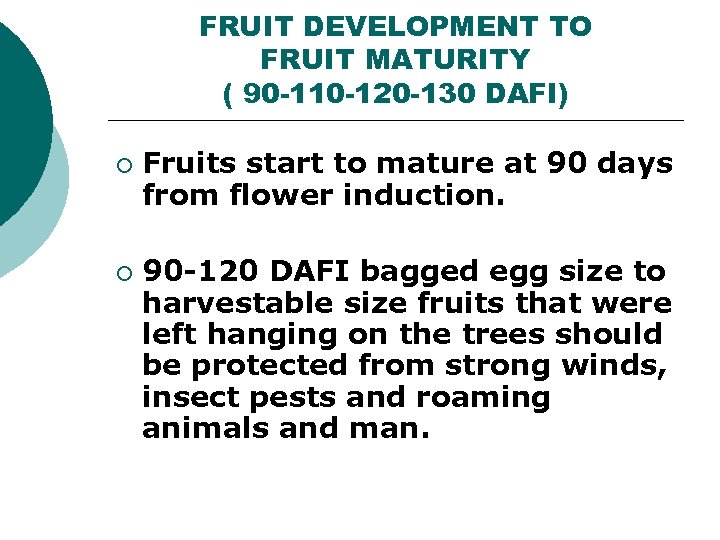 FRUIT DEVELOPMENT TO FRUIT MATURITY ( 90 -110 -120 -130 DAFI) ¡ ¡ Fruits
