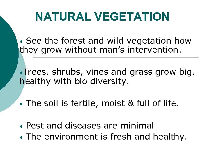 NATURAL VEGETATION See the forest and wild vegetation how they grow without man’s intervention.