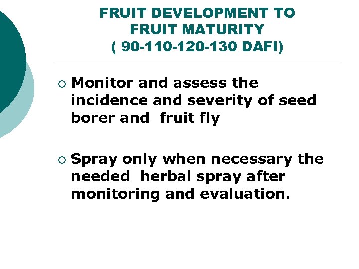 FRUIT DEVELOPMENT TO FRUIT MATURITY ( 90 -110 -120 -130 DAFI) ¡ ¡ Monitor