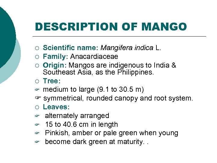 DESCRIPTION OF MANGO Scientific name: Mangifera indica L. ¡ Family: Anacardiaceae ¡ Origin: Mangos