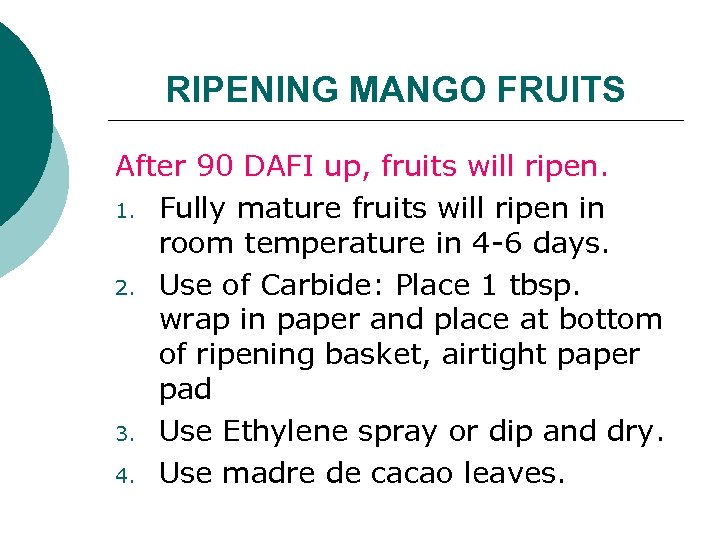 RIPENING MANGO FRUITS After 90 DAFI up, fruits will ripen. 1. Fully mature fruits