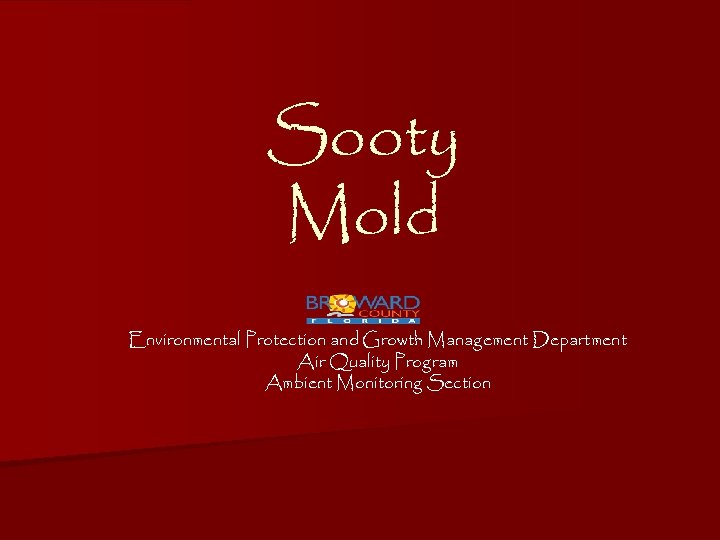 Sooty Mold Environmental Protection and Growth Management Department Air Quality Program Ambient Monitoring Section