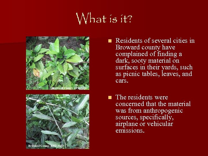 What is it? n Residents of several cities in Broward county have complained of