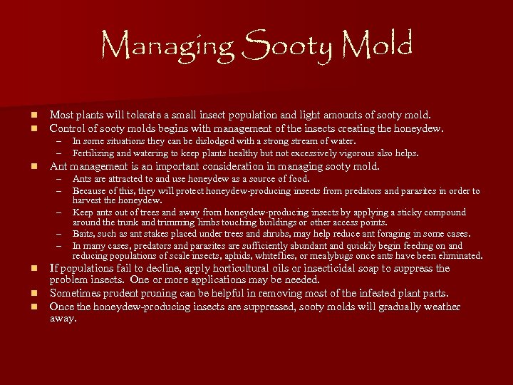 Managing Sooty Mold n n Most plants will tolerate a small insect population and