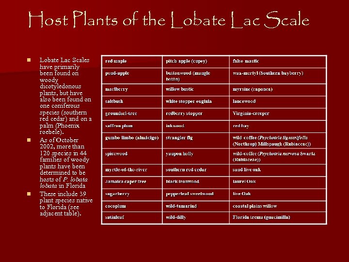 Host Plants of the Lobate Lac Scale n n n Lobate Lac Scales have