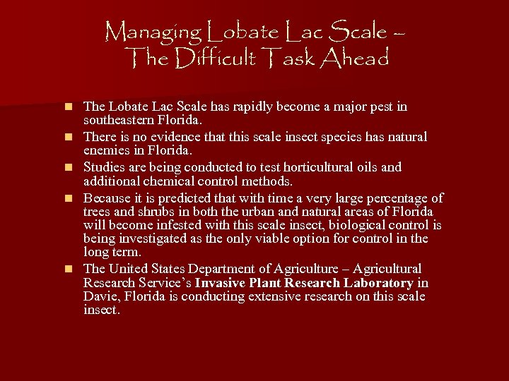 Managing Lobate Lac Scale – The Difficult Task Ahead n n n The Lobate