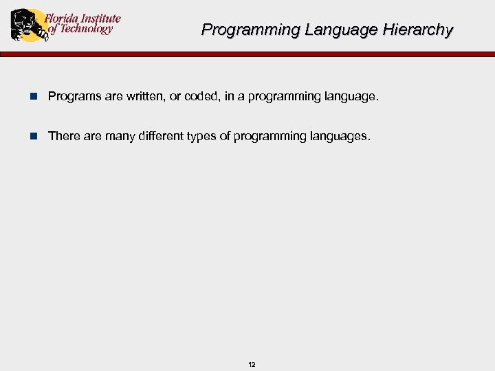 Programming Language Hierarchy n Programs are written, or coded, in a programming language. n