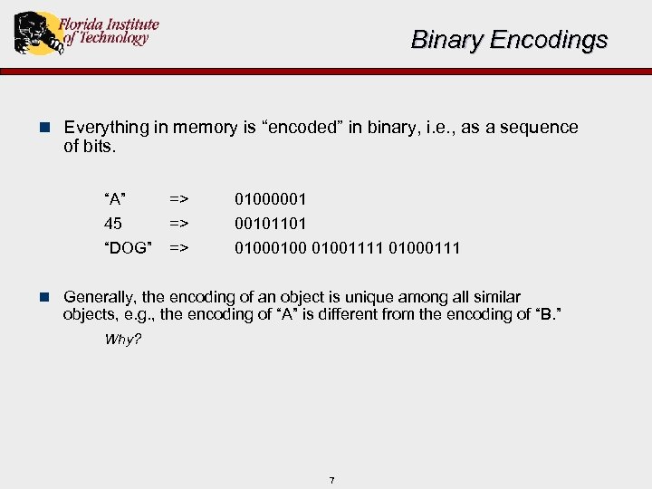 Binary Encodings n Everything in memory is “encoded” in binary, i. e. , as