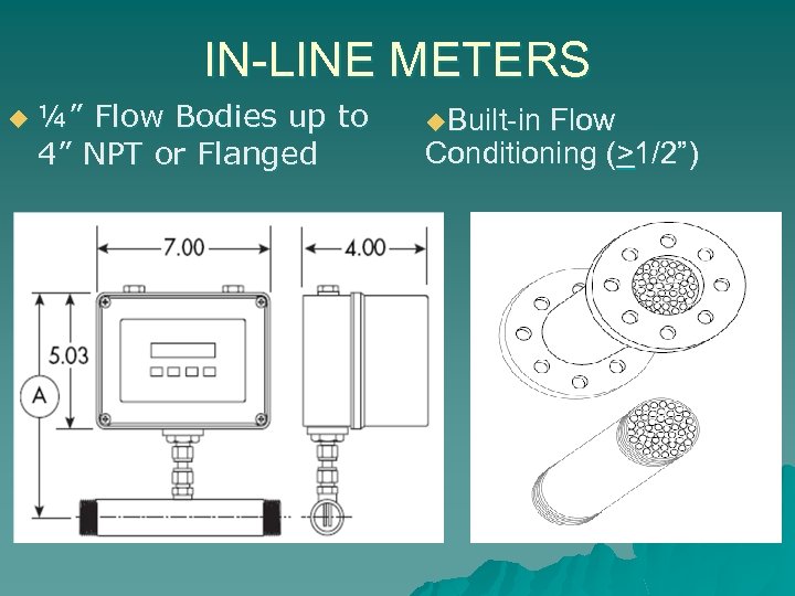 IN-LINE METERS u ¼” Flow Bodies up to 4” NPT or Flanged u. Built-in