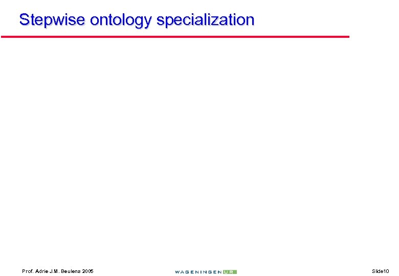Stepwise ontology specialization Prof. Adrie J. M. Beulens 2005 Slide 10 