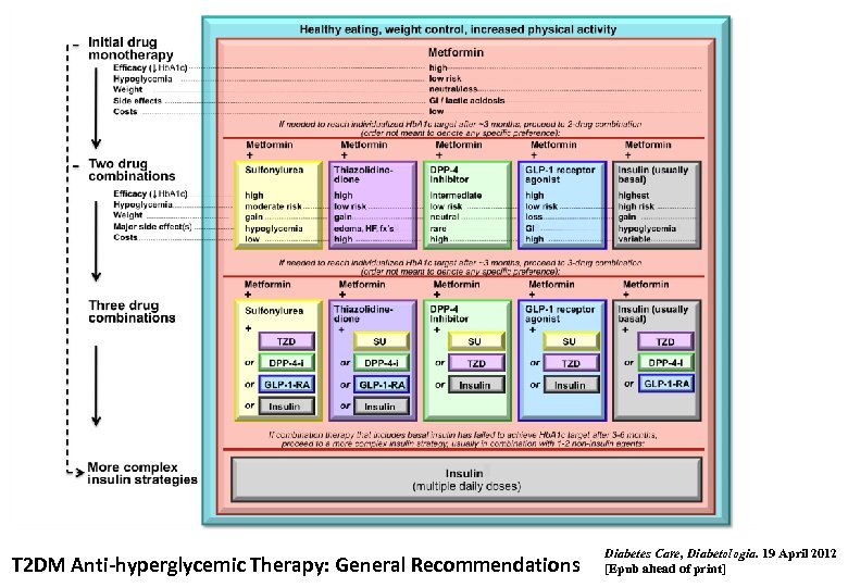 T 2 DM Anti-hyperglycemic Therapy: General Recommendations Diabetes Care, Diabetologia. 19 April 2012 [Epub
