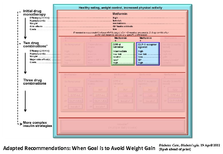 Adapted Recommendations: When Goal is to Avoid Weight Gain Diabetes Care, Diabetologia. 19 April
