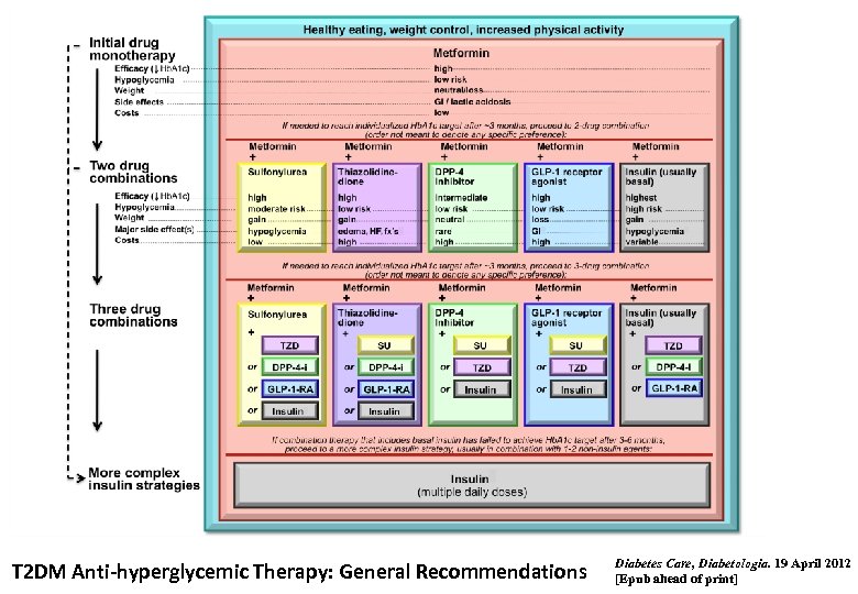 T 2 DM Anti-hyperglycemic Therapy: General Recommendations Diabetes Care, Diabetologia. 19 April 2012 [Epub